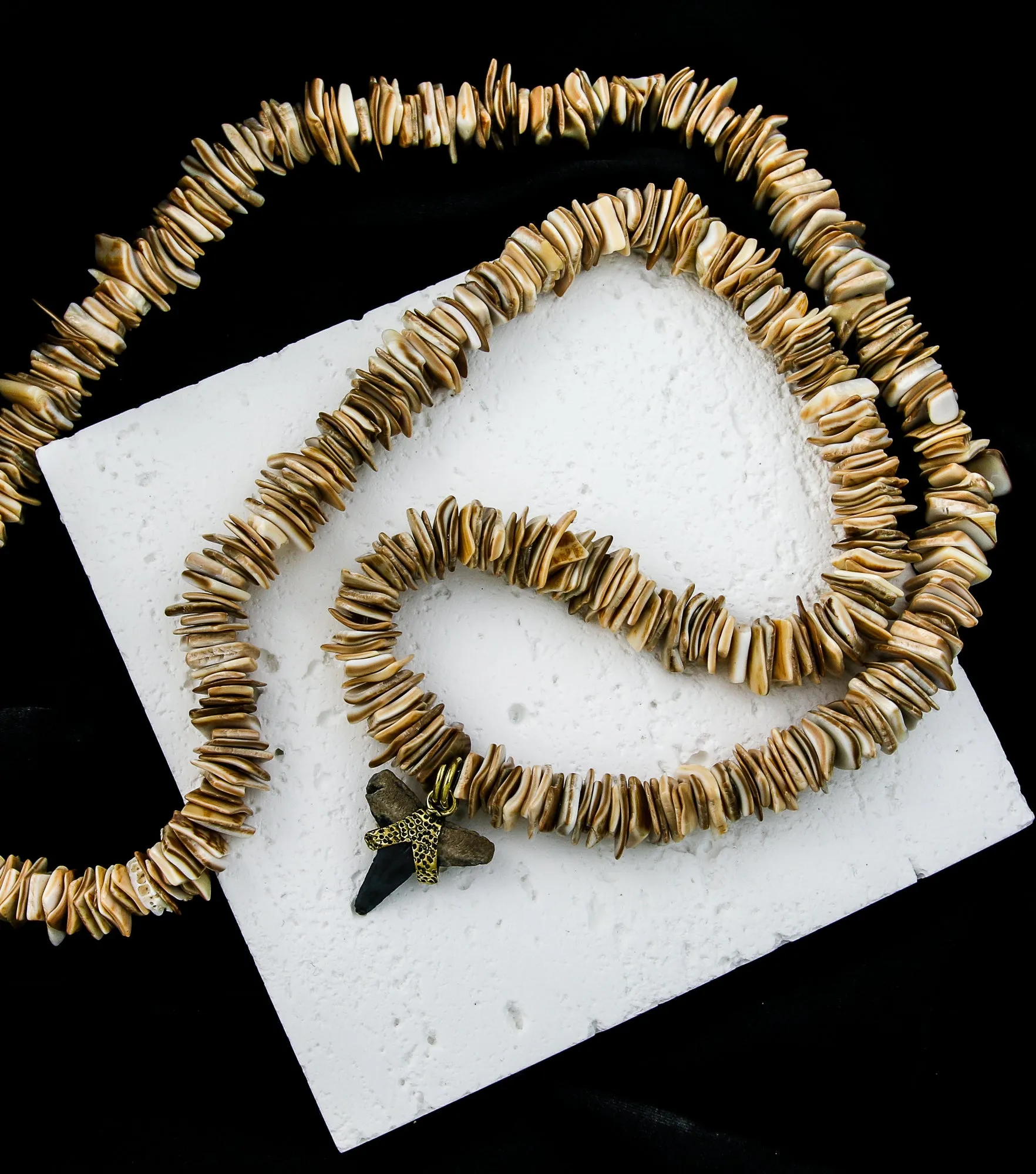 Fossilized Shark Tooth Flat Seashell Necklace