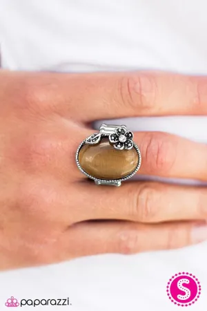 Paparazzi Ring ~ Moonlit Meadows - Brown